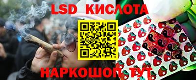 крисы Жуковский
