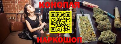 крисы Жуковский
